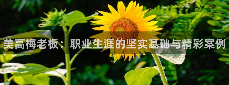 k8凯发游戏官网版：美高梅老板：职业生涯的坚实基础与精彩案例
