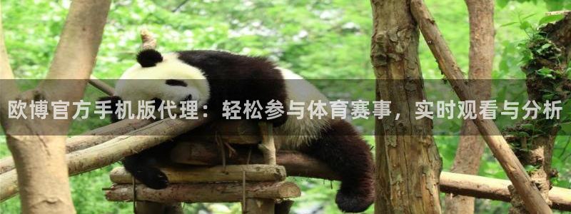 k8凯发集团：欧博官方手机版代理：轻松参与体育赛事，实时观看与分析