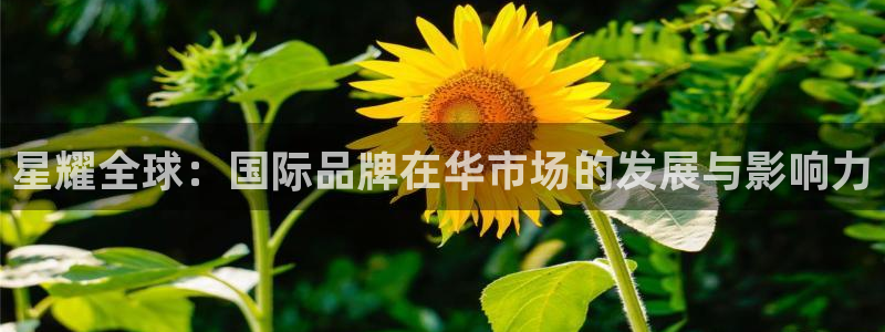 k8凯发3平台登录注册：星耀全球：国际品牌在华市场的发展与影响力