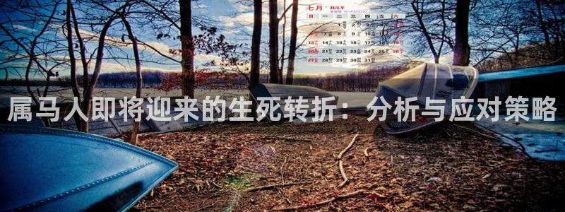 k8凯发：属马人即将迎来的生死转折：分析与应对策略