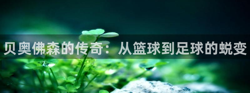 k8凯发4官网：贝奥佛森的传奇：从篮球到足球的蜕变