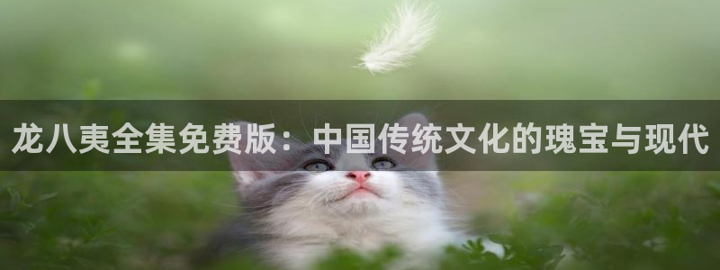 k8凯发零能源集团：龙八夷全集免费版：中国传统文化的瑰宝与现代