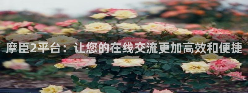 k8凯发3平台登录注册：摩臣2平台：让您的在线交流更加高效和便捷