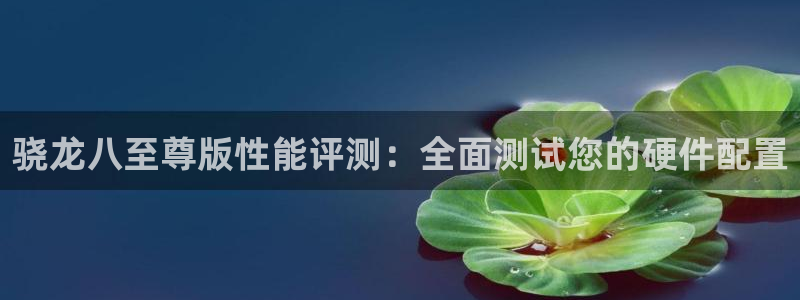 k8凯发登录界面入口：骁龙八至尊版性能评测：全面测试您的硬件配置
