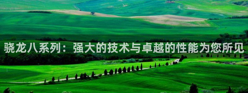 k8凯发可靠吗：骁龙八系列：强大的技术与卓越的性能为您所见