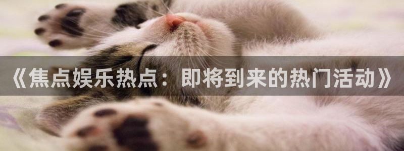 k8凯发体育3：《焦点娱乐热点：即将到来的热门活动》