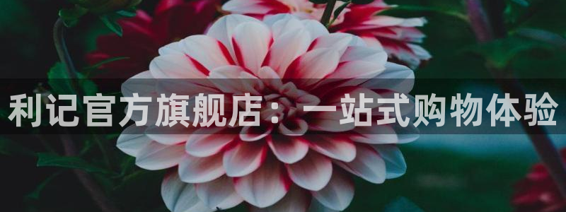 k8凯发预测pc在线预测网址：利记官方旗舰店：一站式购物体验