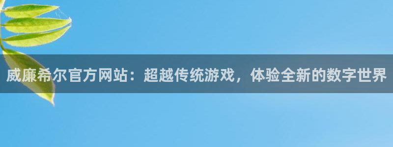 k8凯发体育游戏：威廉希尔官方网站：超越传统游戏，体验全新的数字世界