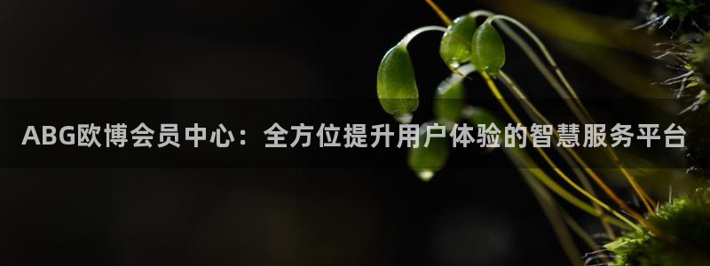 k8凯发是大平台吗：ABG欧博会员中心：全方位提升用户体验的智慧服务平台