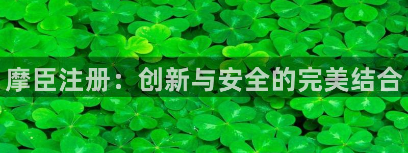 k8凯发体育app下载：摩臣注册：创新与安全的完美结合