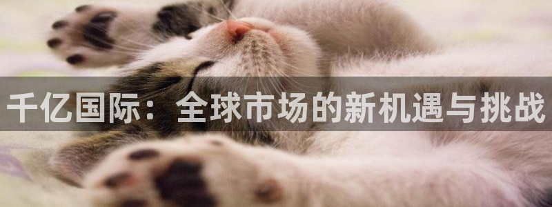 k8凯发下载并安装：千亿国际：全球市场的新机遇与挑战