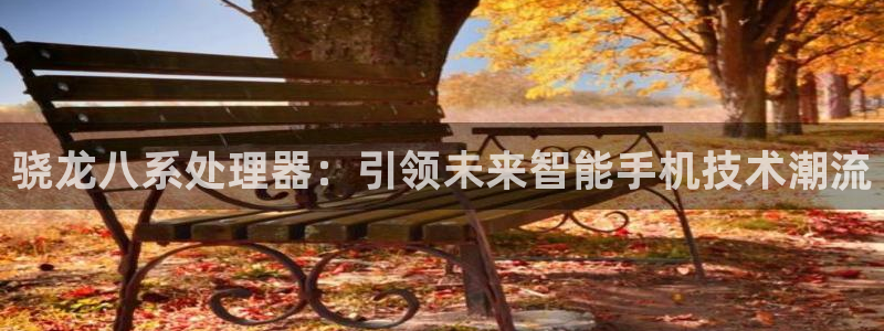 南宫k8凯发：骁龙八系处理器：引领未来智能手机技术潮流