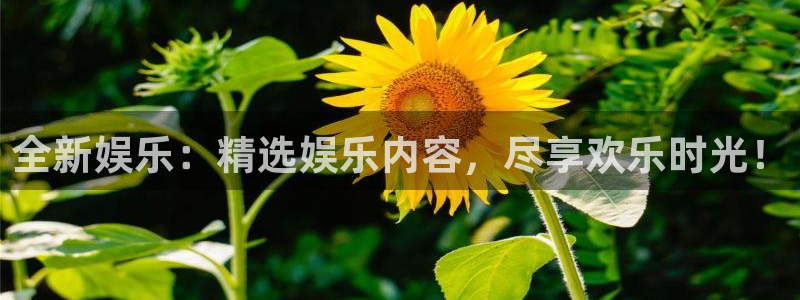 k8凯发平台：全新娱乐：精选娱乐内容，尽享欢乐时光！