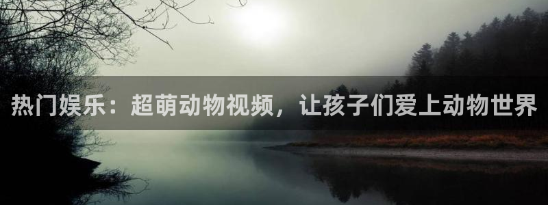 k8凯发2体育：热门娱乐：超萌动物视频，让孩子们爱上动物世界