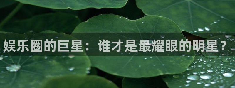k8凯发2体育登录入口：娱乐圈的巨星：谁才是最耀眼的明星？